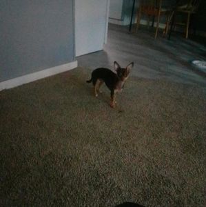 Meet your Posher, Deborah